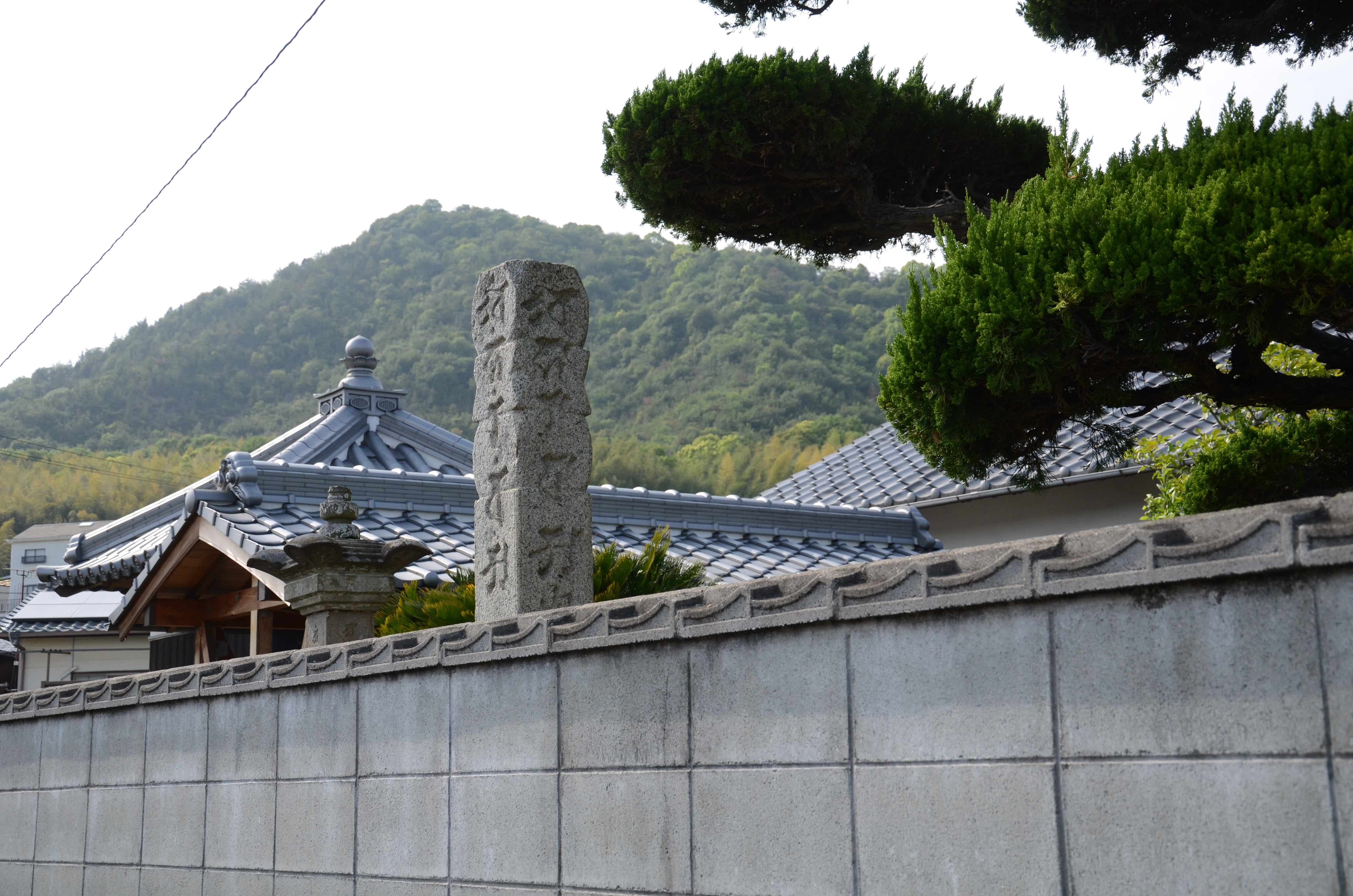 �����ω�