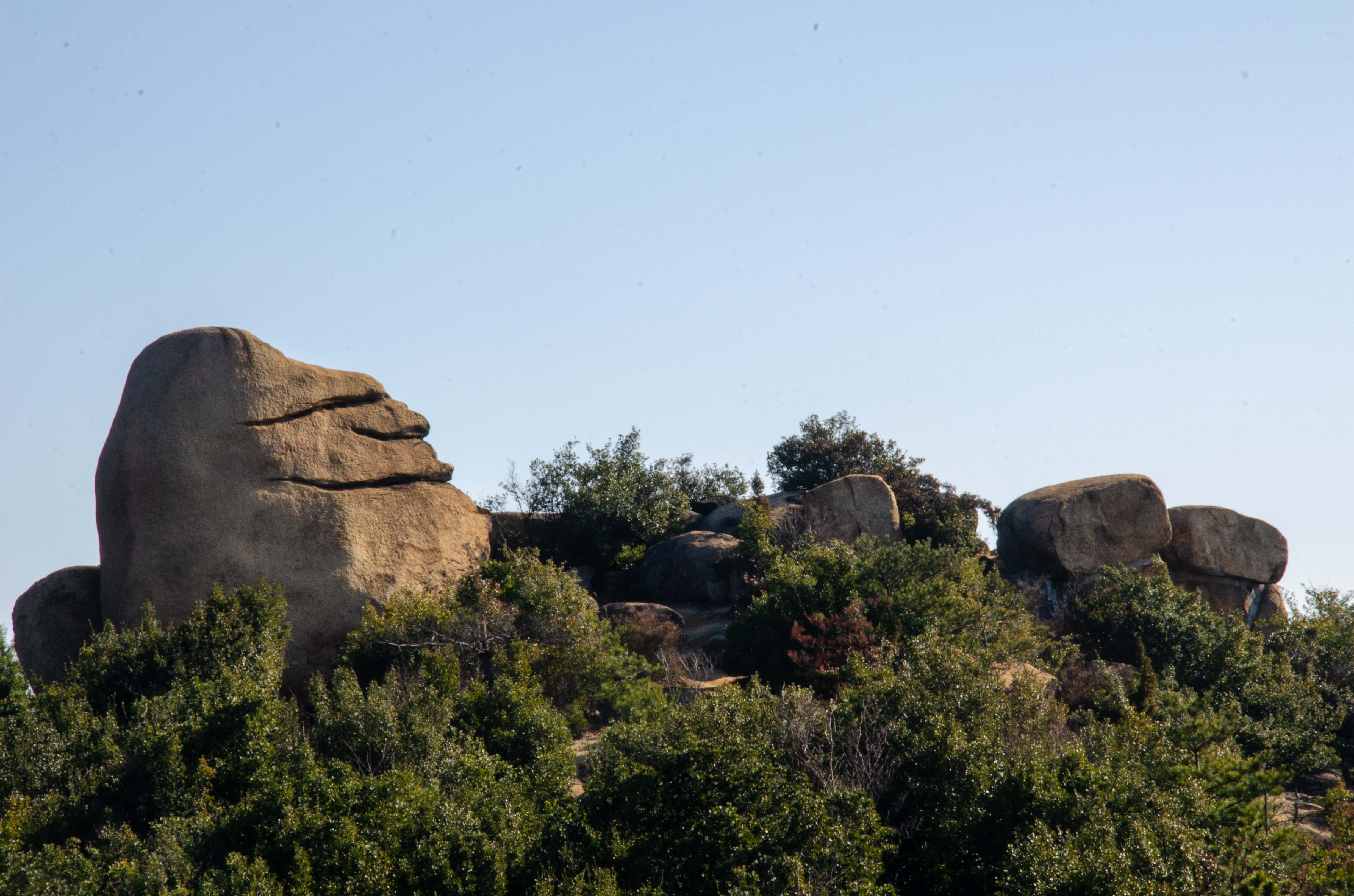 ���q���x