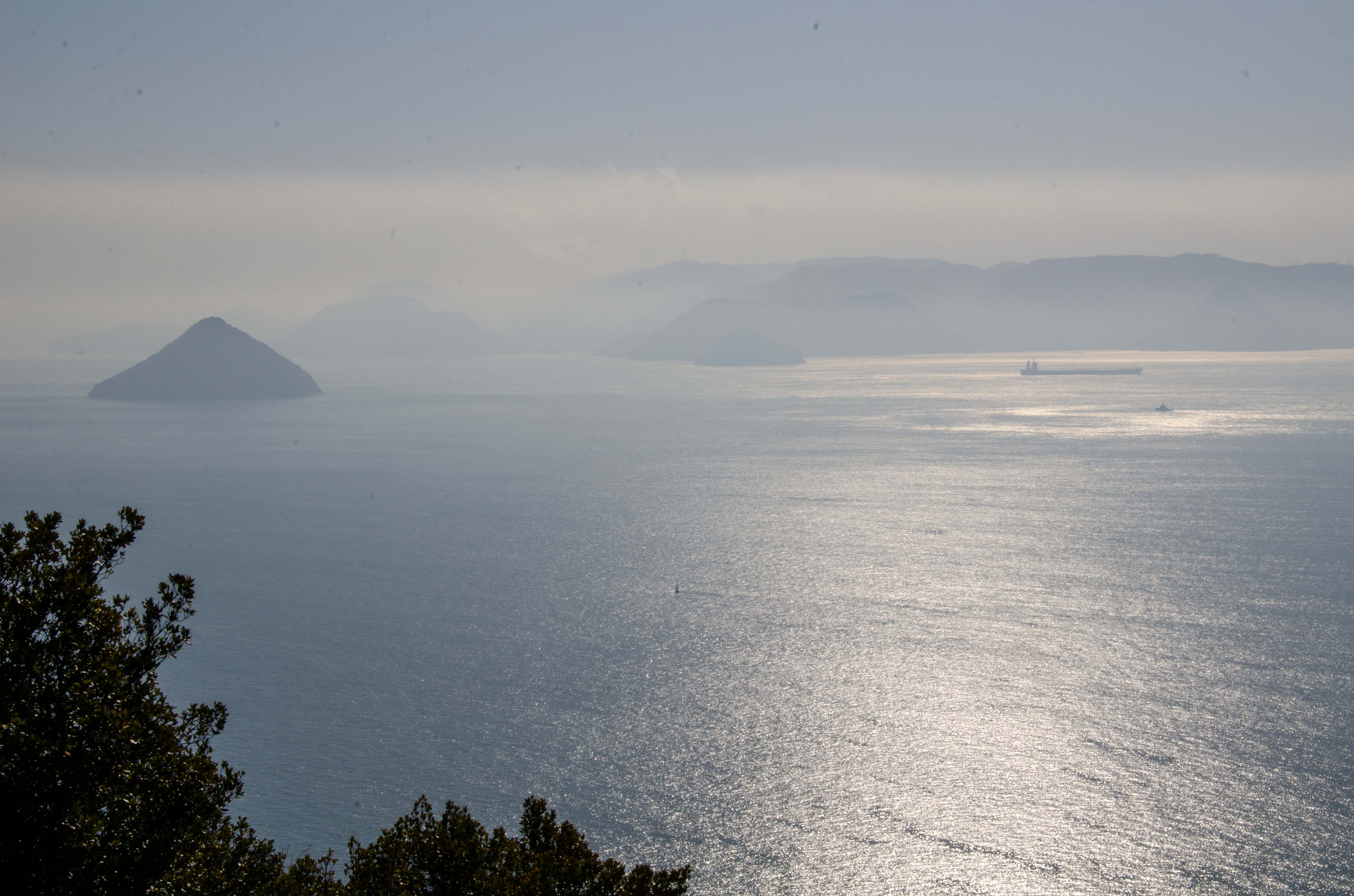 ���q���x