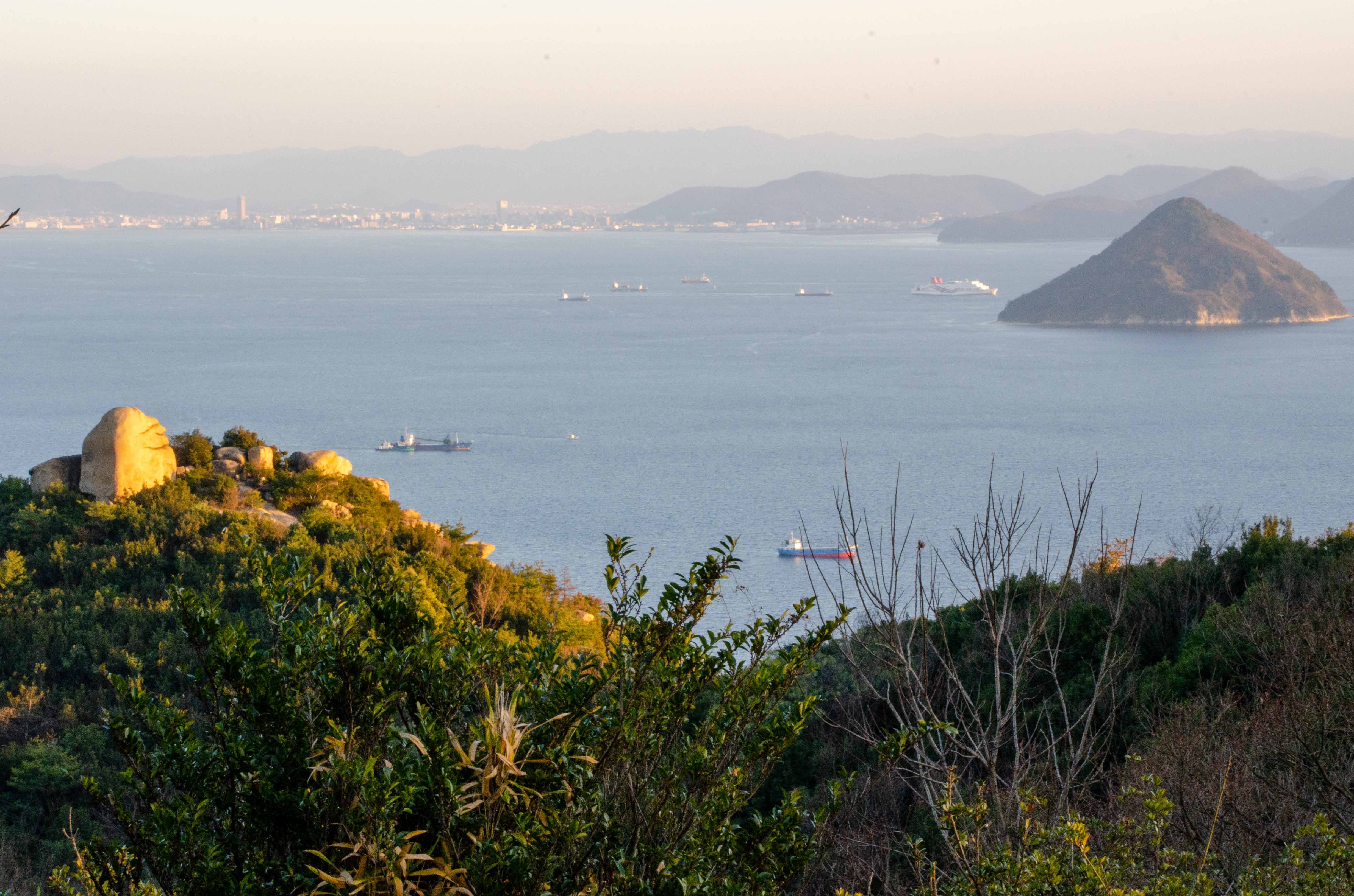 ���q���x