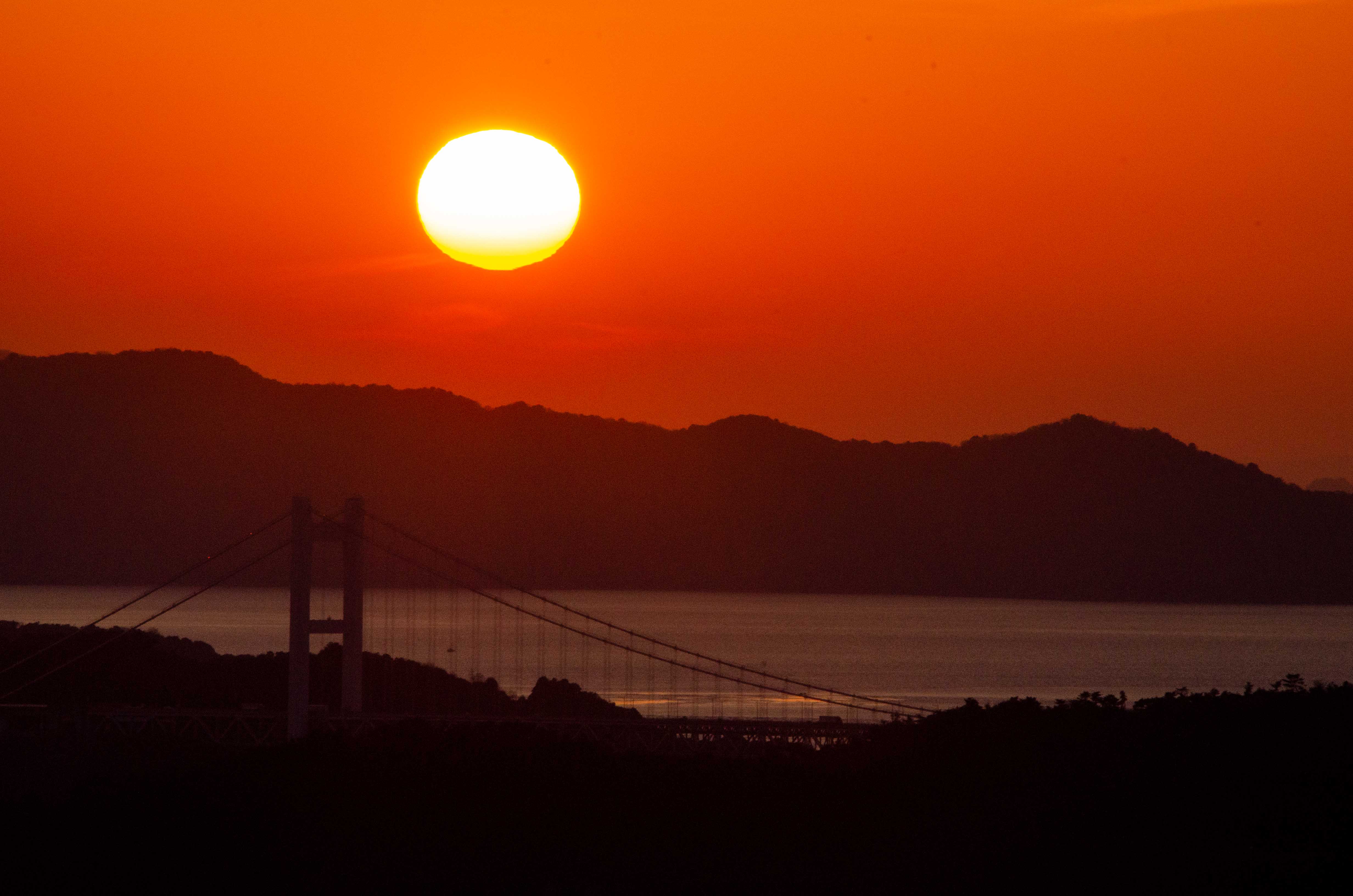 ���q���x