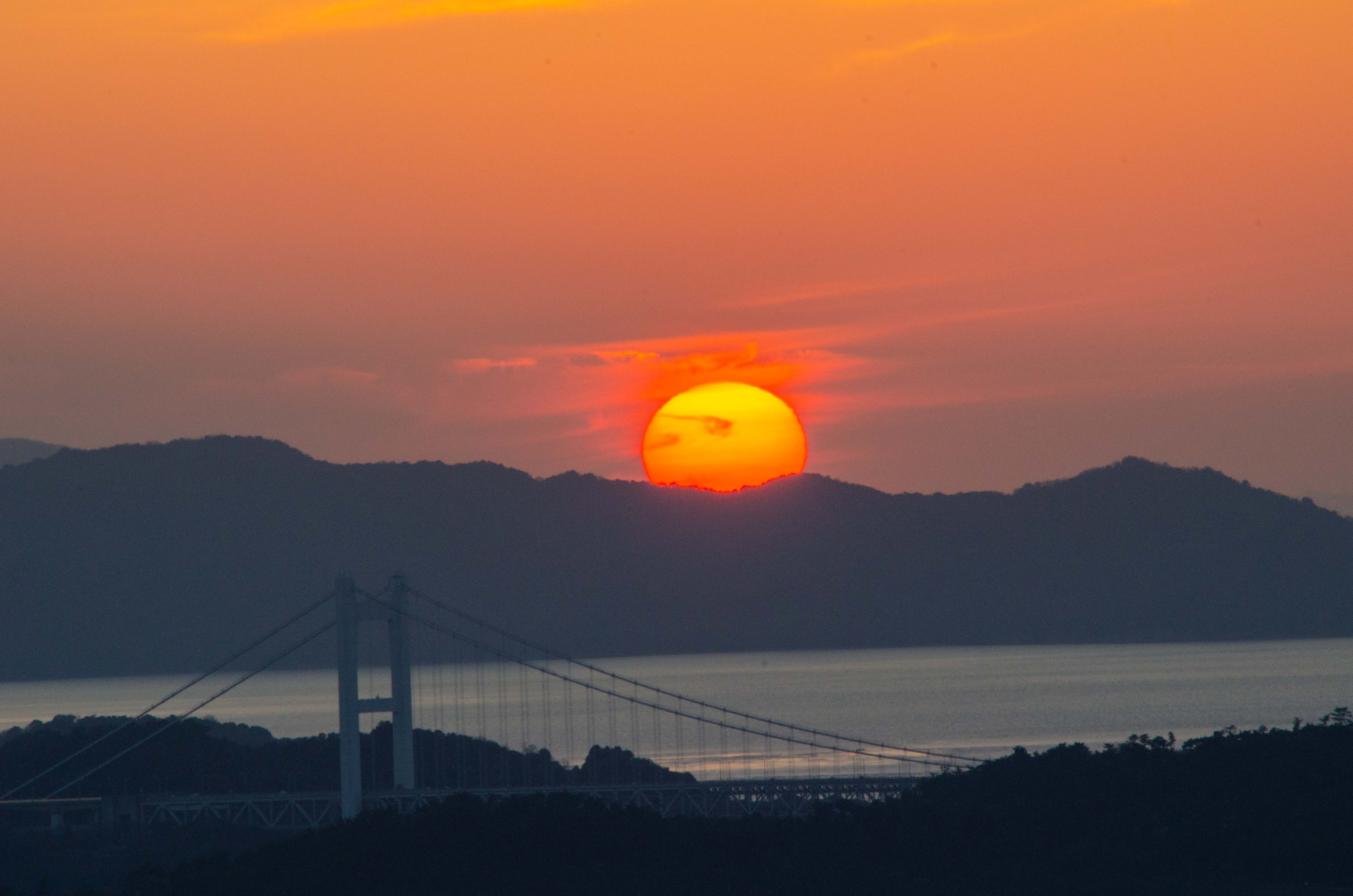 ���q���x