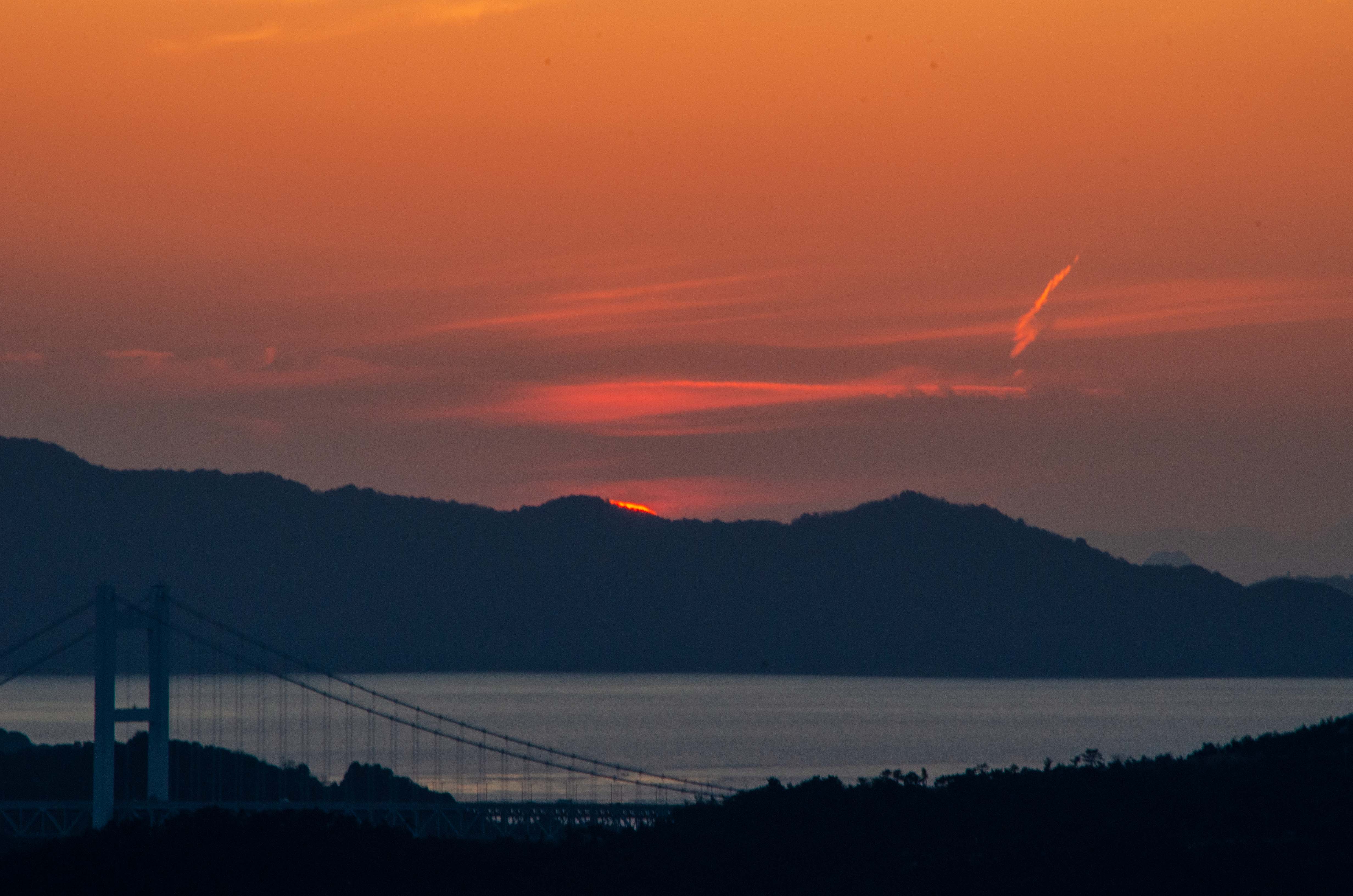 ���q���x