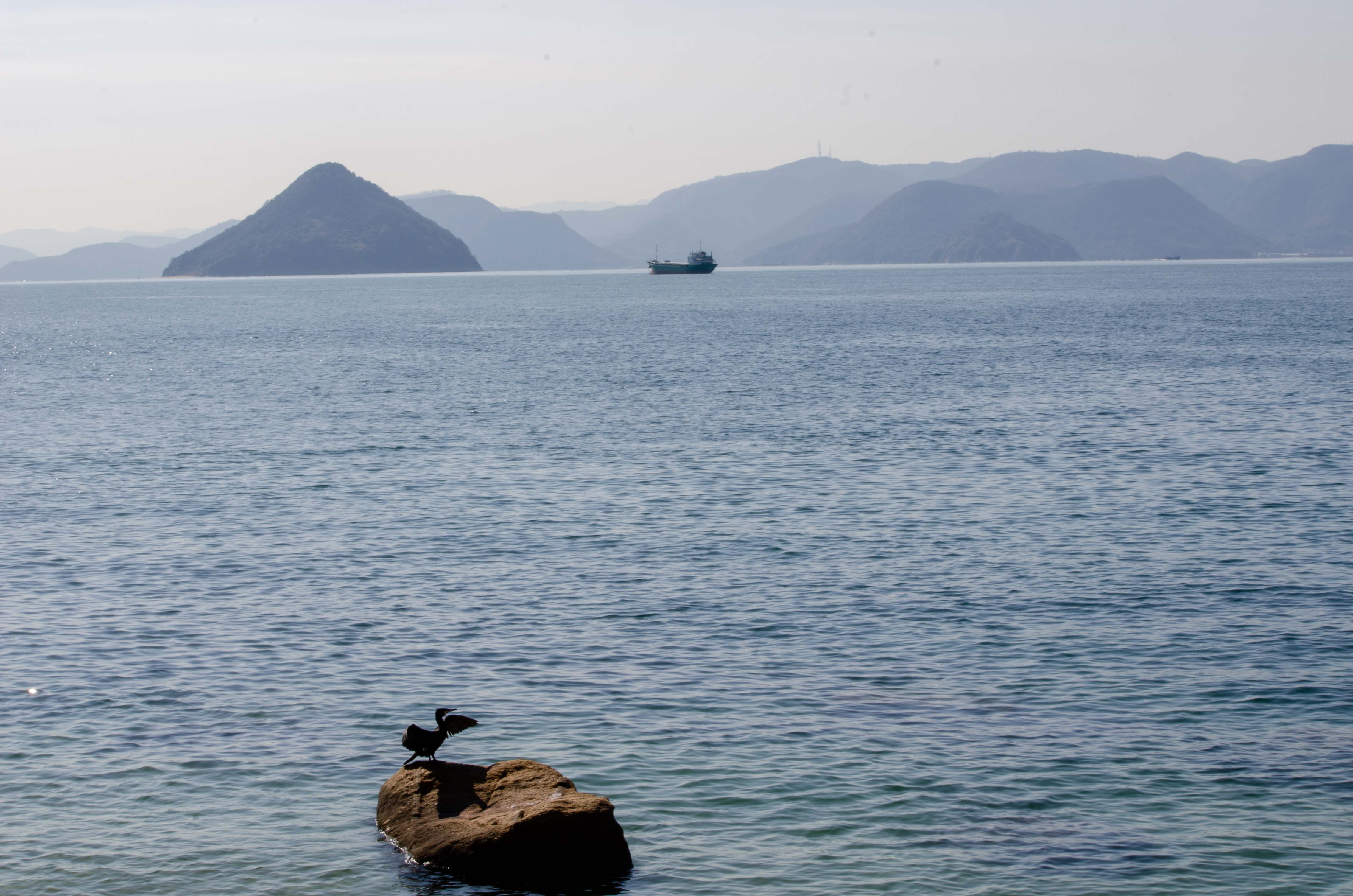 ���q���x