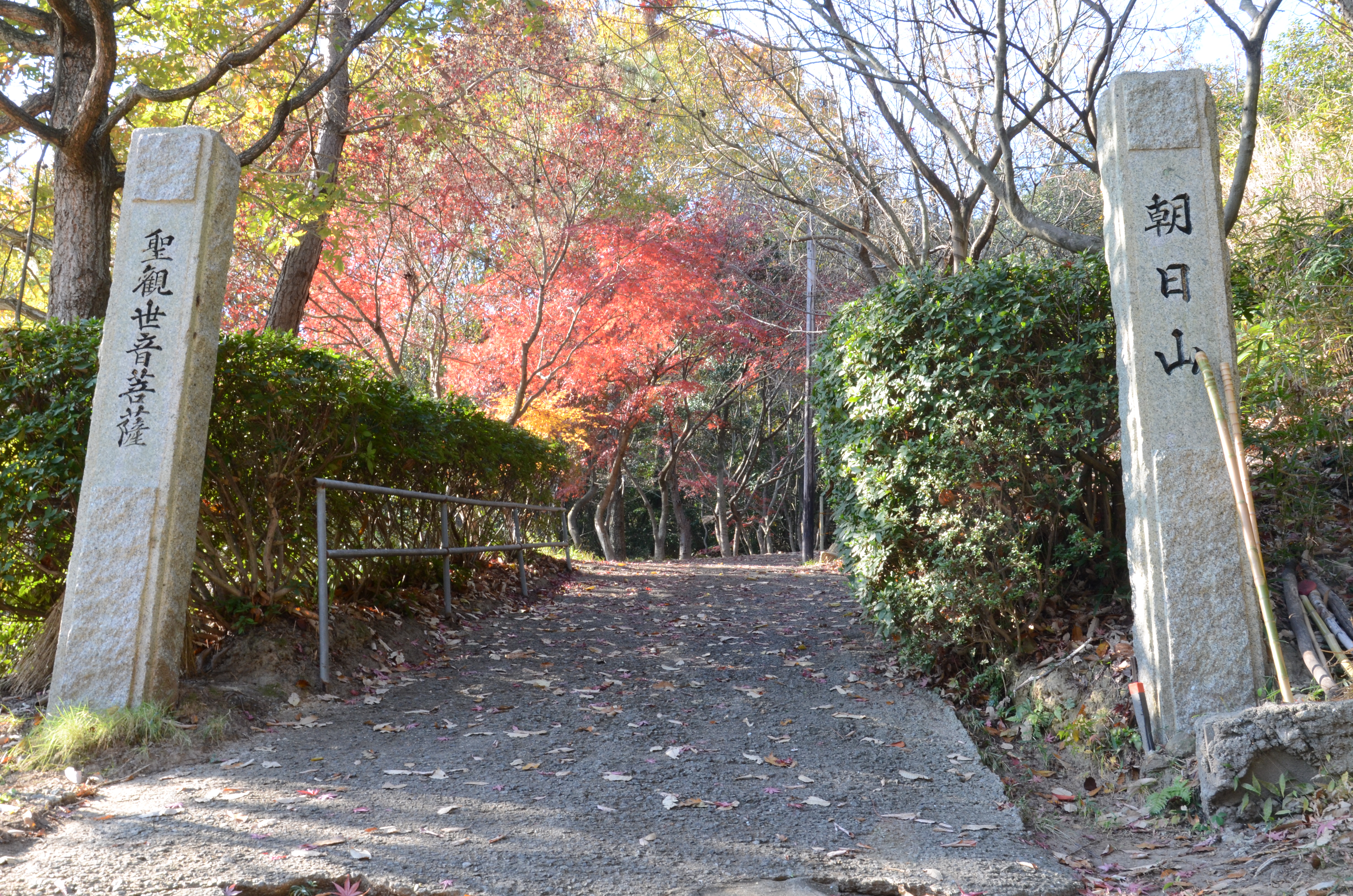 �����ω�