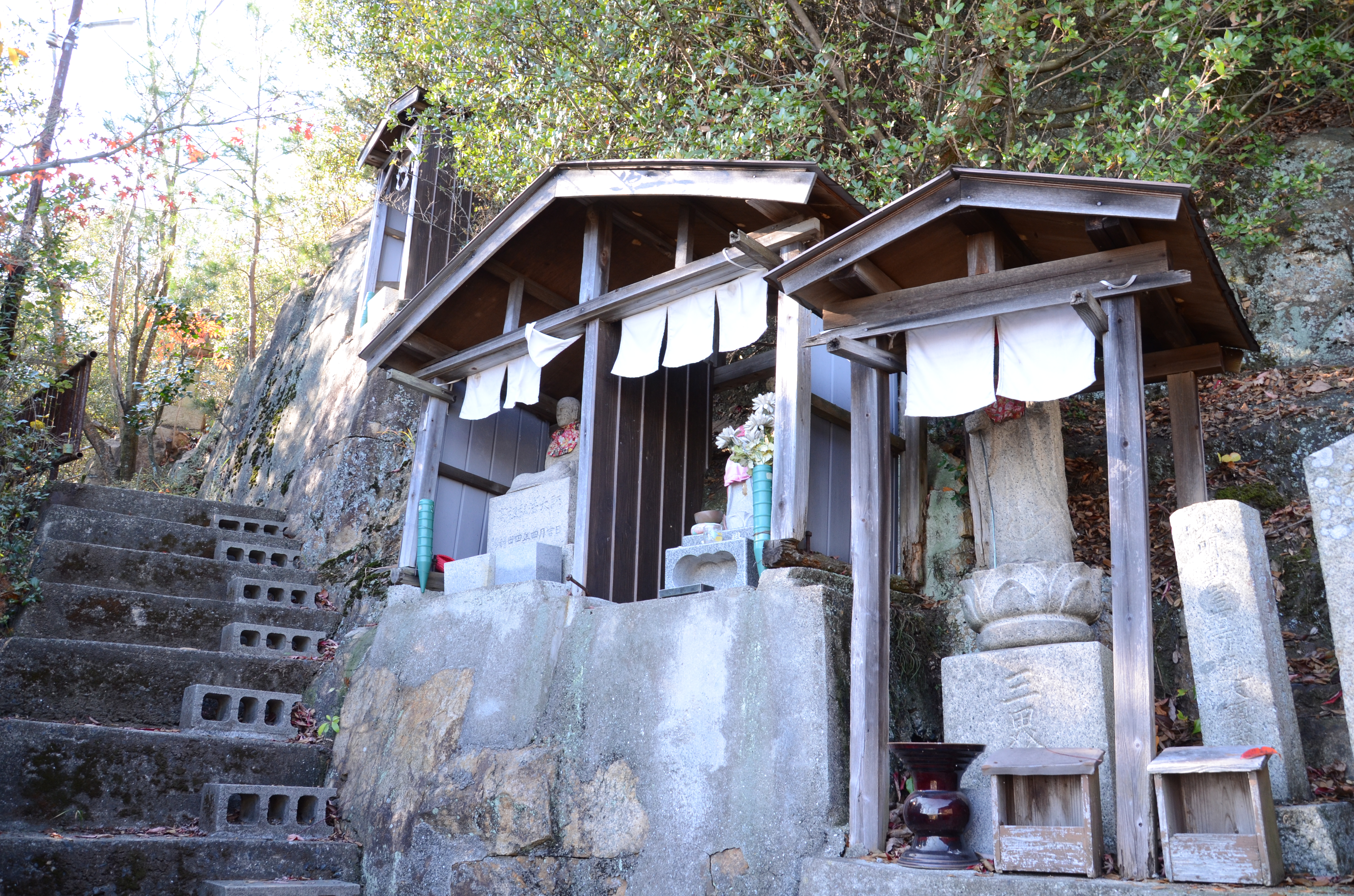 �����ω�